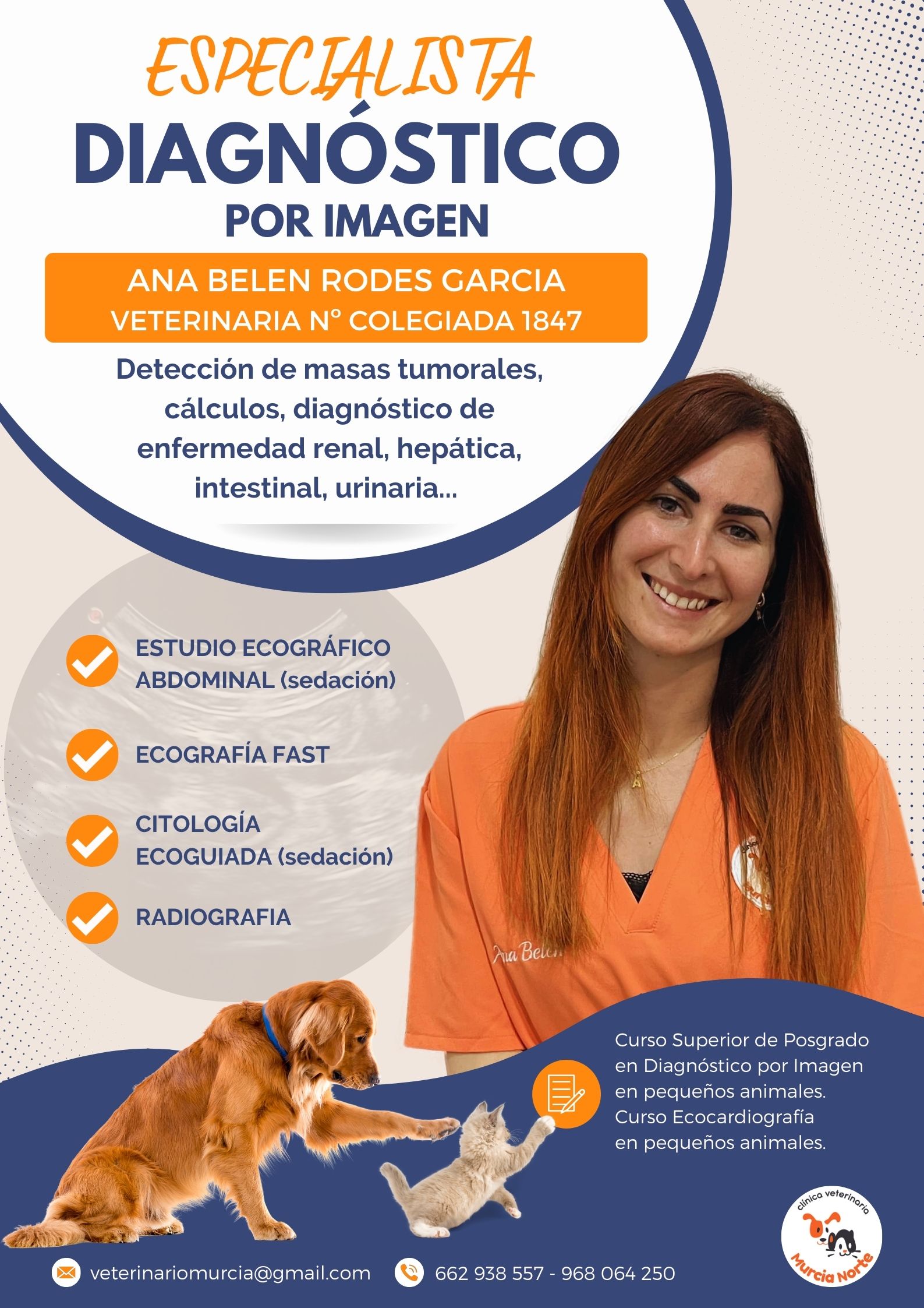 ecografía veterinaria, estudio ecográfico abdominal, ecocardiografía, diagnóstico por imagen, pruebas de imagen